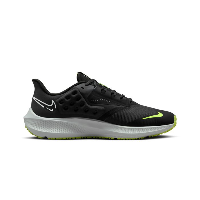 Air Zoom Pegasus 39 Shield