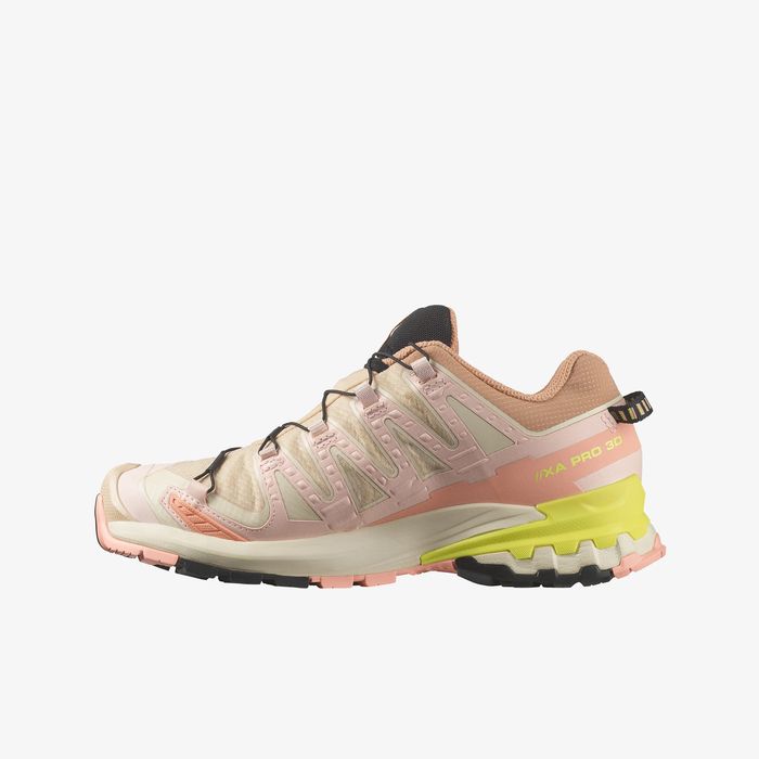 SHOES XA PRO 3D V9 GORE-TEX
