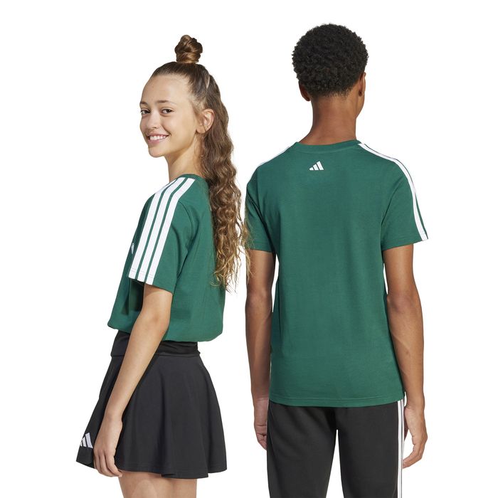 Codes Collegiate Graphic