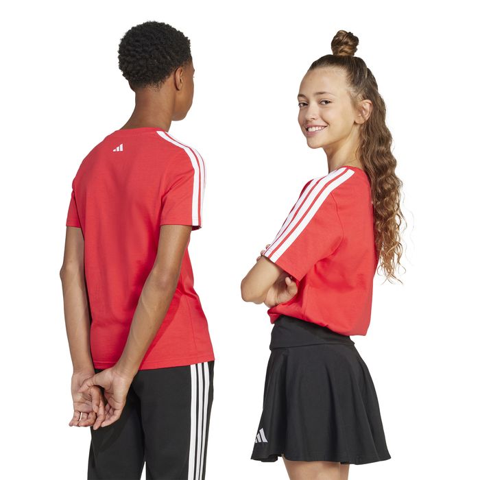 Codes Collegiate Graphic