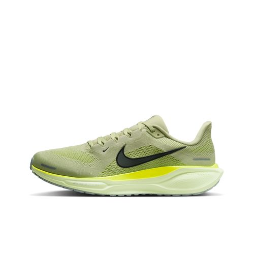Pegasus 41