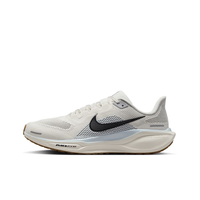 Pegasus 41