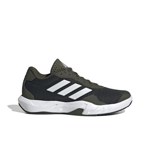 Amplimove Trainer