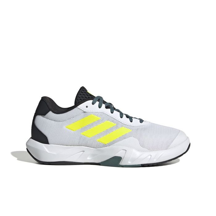 Amplimove Trainer