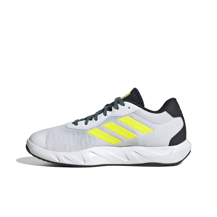 Amplimove Trainer