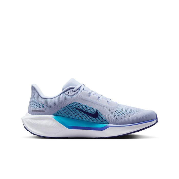 Pegasus 41
