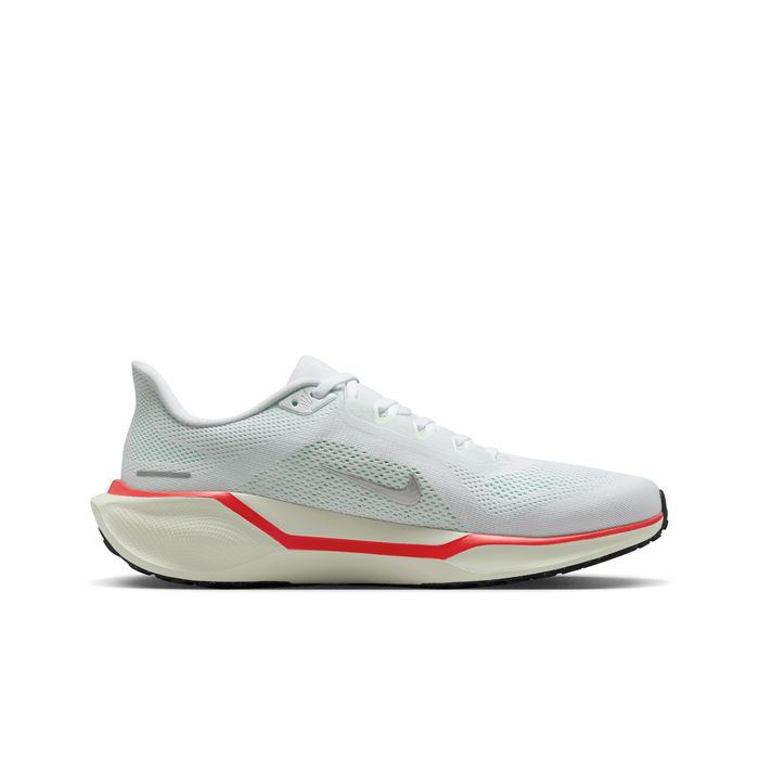 Pegasus 41