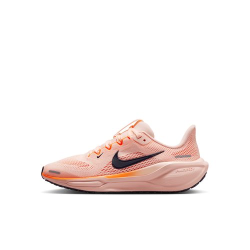 Air Zoom Pegasus 41