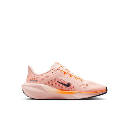 Air Zoom Pegasus 41