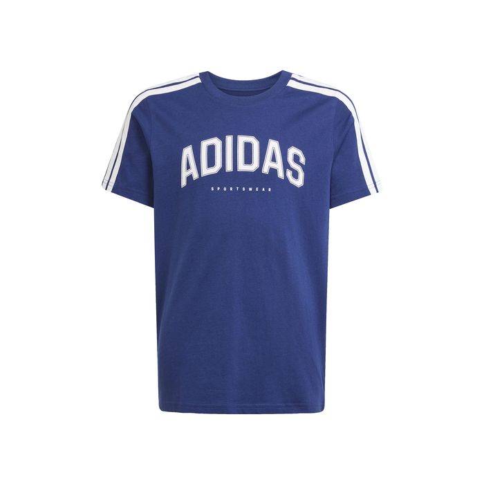 Codes Collegiate Graphic