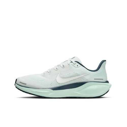 Pegasus 41