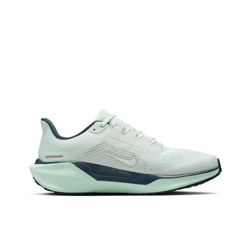 Pegasus 41