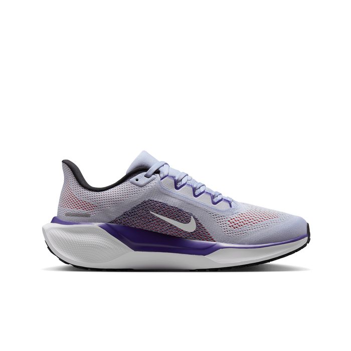 Pegasus 41