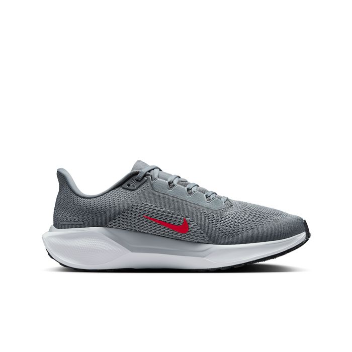 Pegasus 41