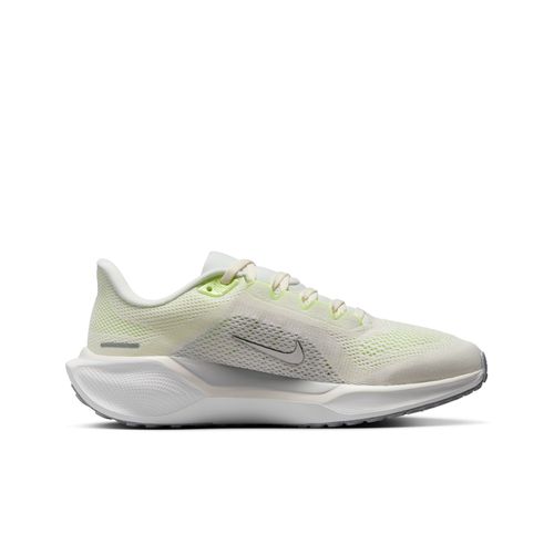 Pegasus 41