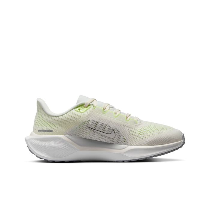 Pegasus 41