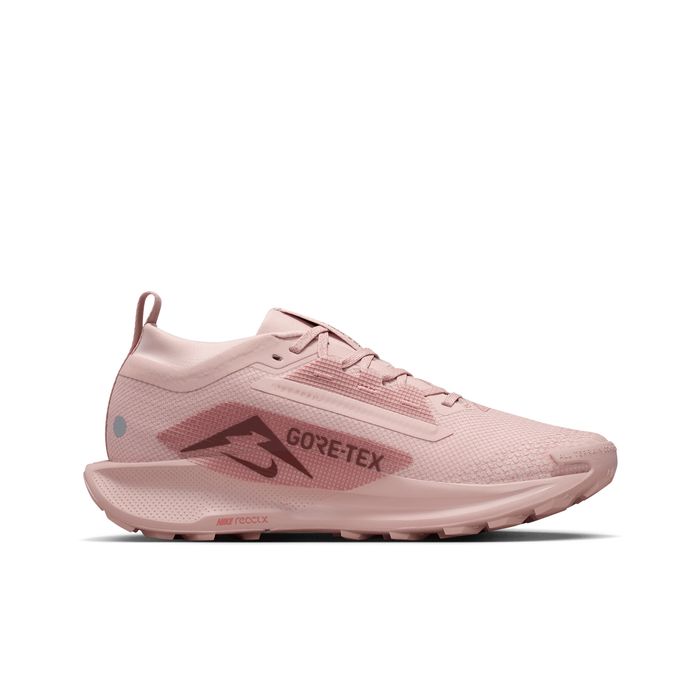 Pegasus Trail 5 GORE-TEX