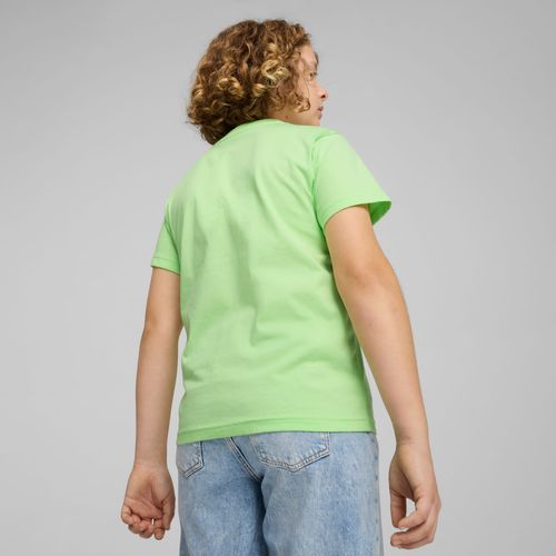 ESS con logotipo n.º 1