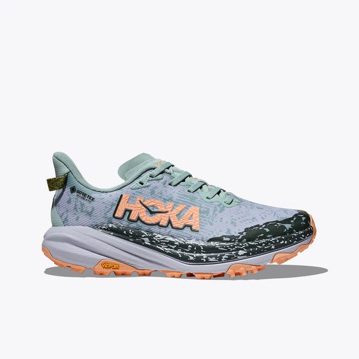 Speedgoat 6 Gore-Tex