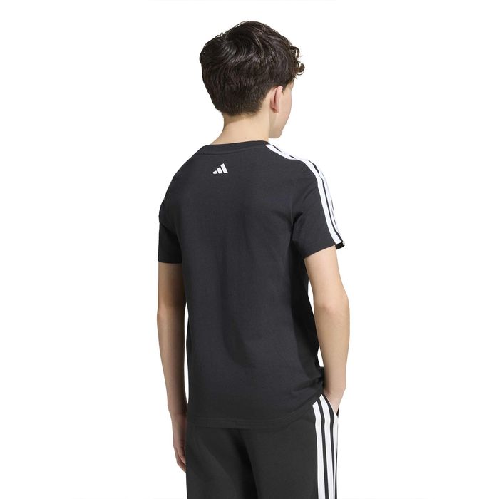 Codes Collegiate Graphic