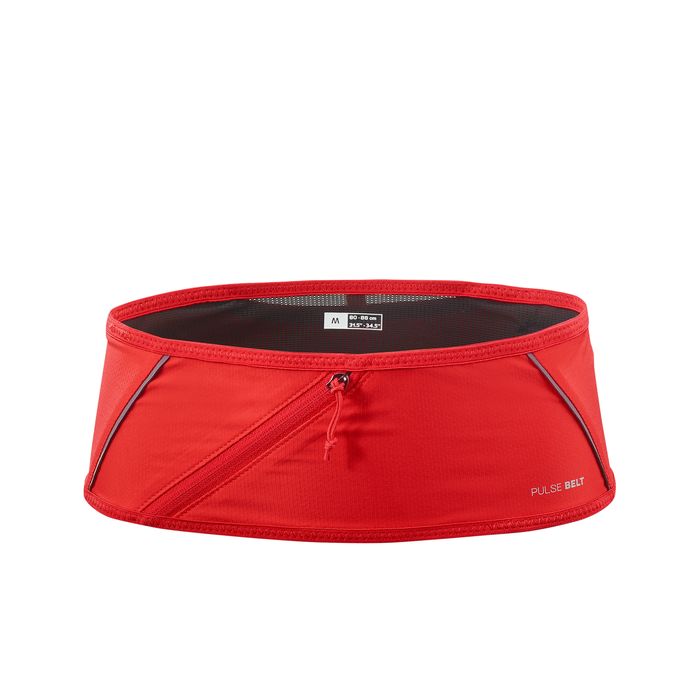 Pulse